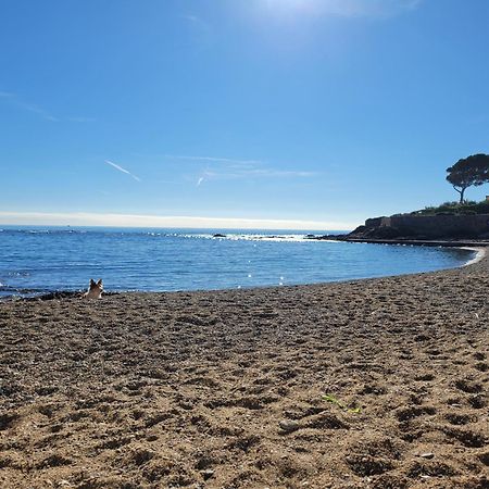 Appartement La Tranquillite, 2Mn A Pieds Mer Fréjus Zewnętrze zdjęcie