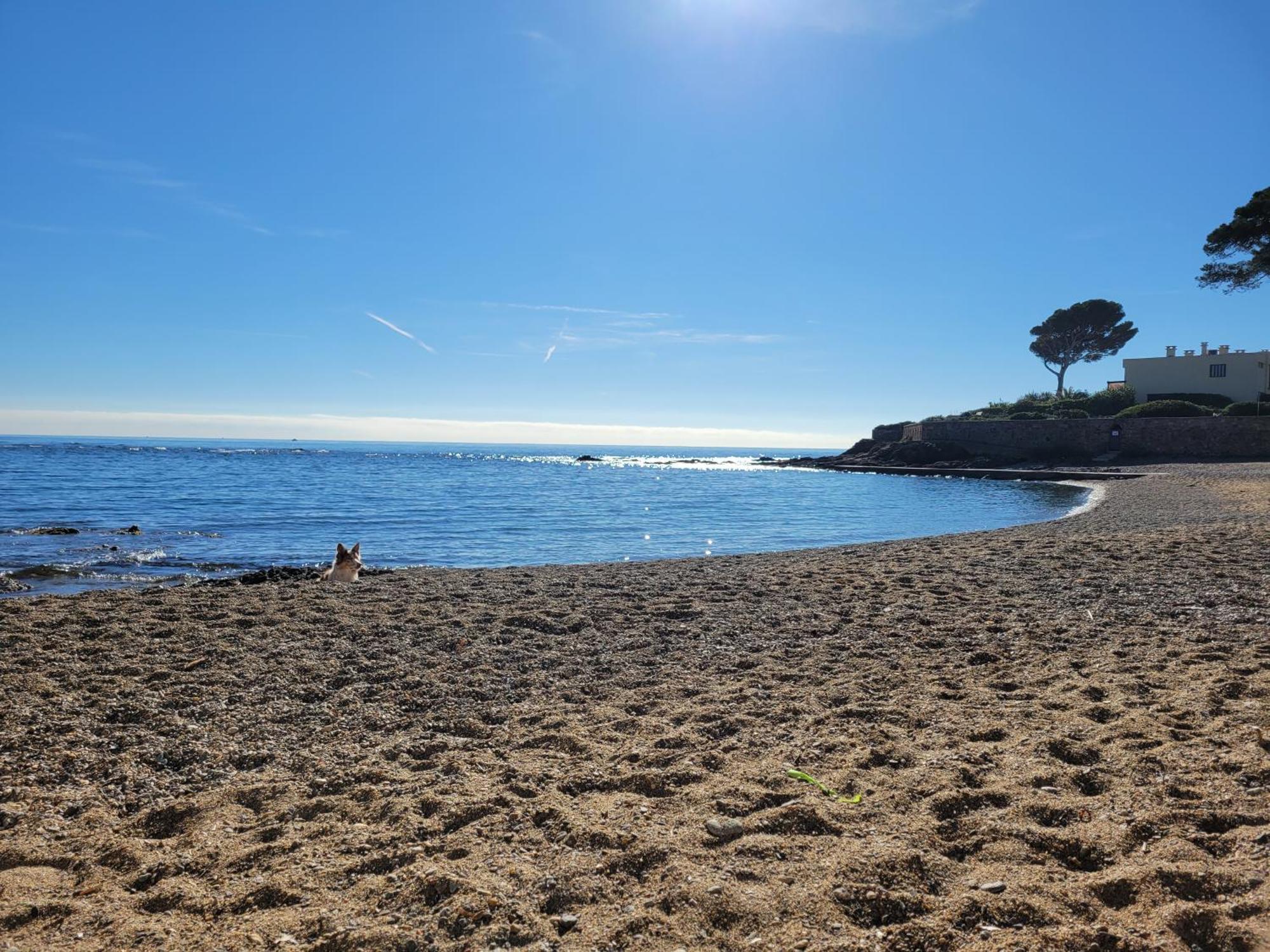 Appartement La Tranquillite, 2Mn A Pieds Mer Fréjus Zewnętrze zdjęcie